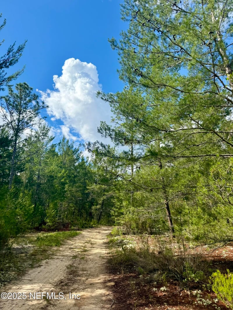 269 Alabama Dr, Hawthorne, FL 32640