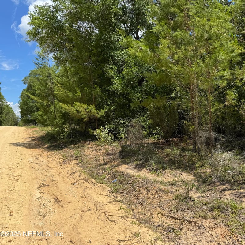 000 Cardinal St, Interlachen, FL 32148