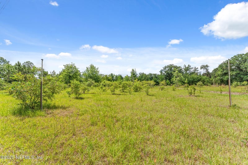 2995 Thunder Rd, Middleburg, FL 32068