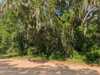 LOT 25 Walker Dr, Interlachen, FL 32148