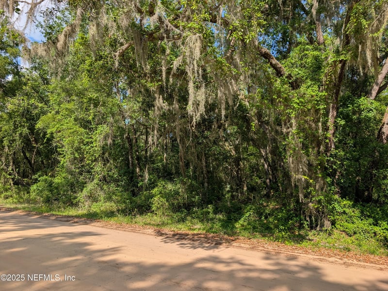 LOT 25 Walker Dr, Interlachen, FL 32148