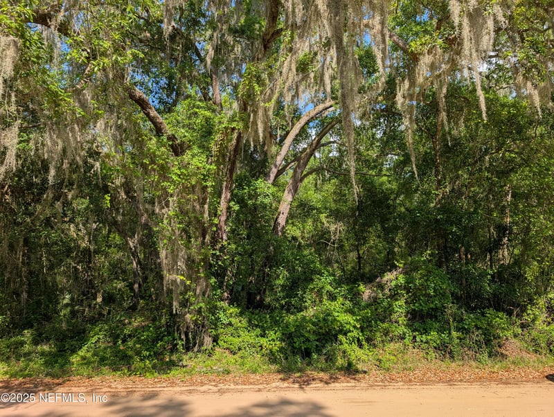 LOT 25 Walker Dr, Interlachen, FL 32148