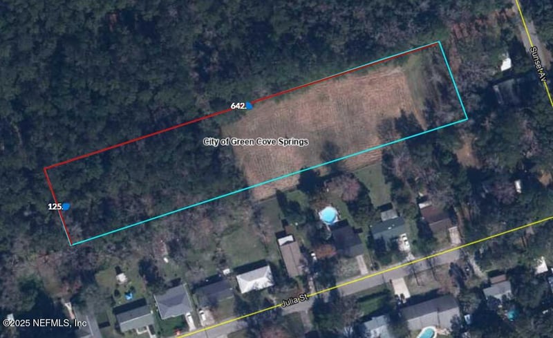 100 El Dorado Dr, Green Cove Springs, FL 32043