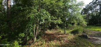 0 Maryland Ave, Jacksonville, FL 32234