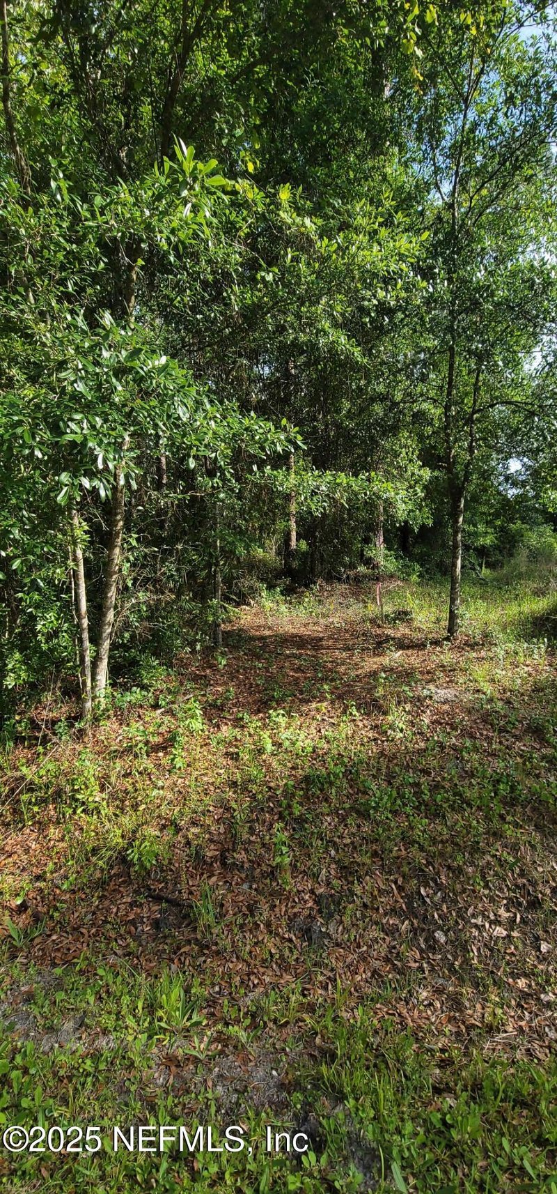 0 Maryland Ave, Jacksonville, FL 32234