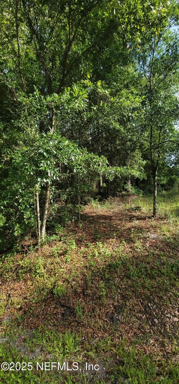 0 Maryland Ave, Jacksonville, FL 32234