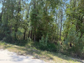 107 White Pine Ln, Georgetown, FL 32139