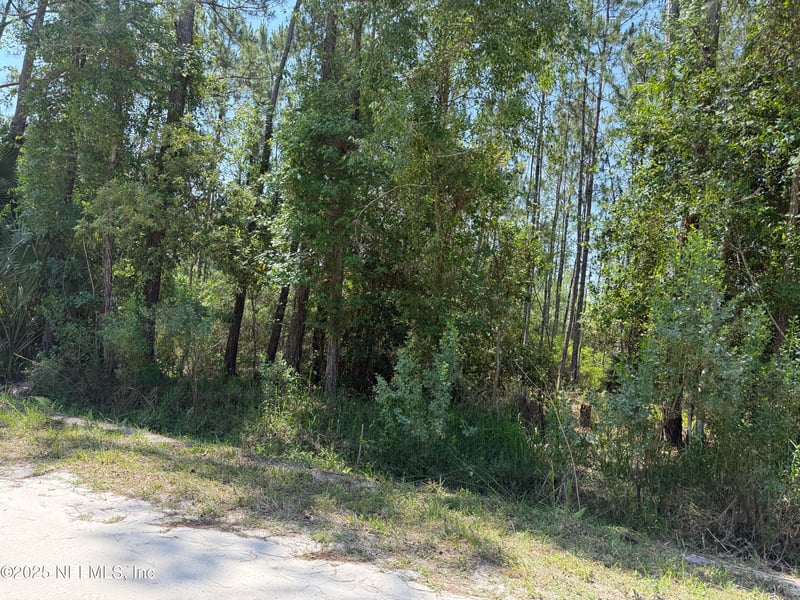 107 White Pine Ln, Georgetown, FL 32139
