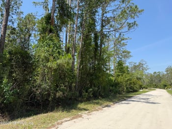 107 White Pine Ln, Georgetown, FL 32139