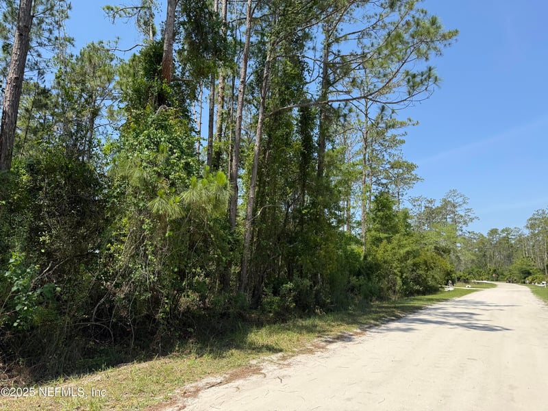 107 White Pine Ln, Georgetown, FL 32139