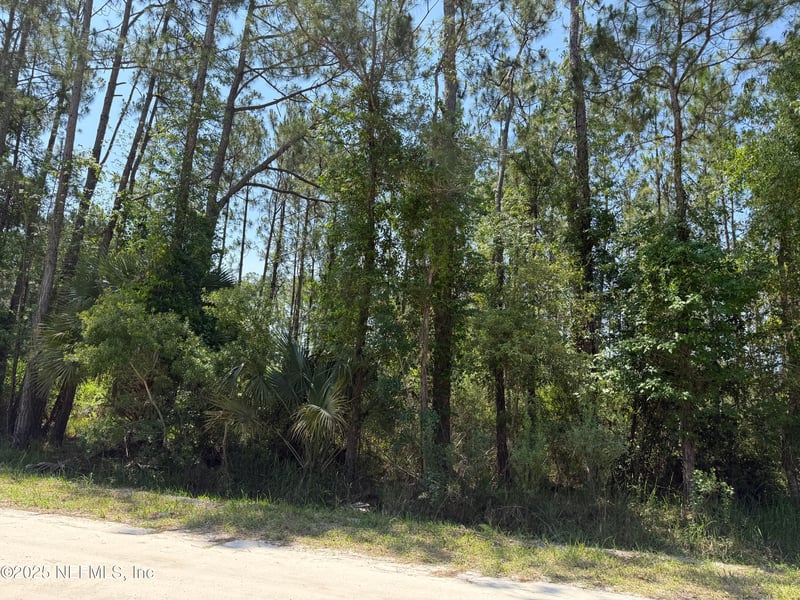 109 White Pine Ln, Georgetown, FL 32139