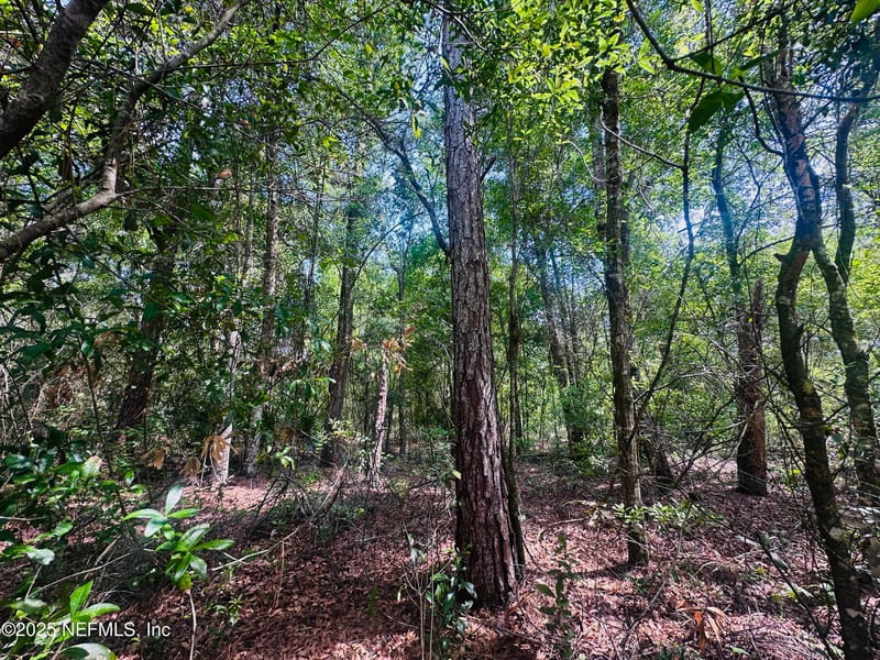 5423 Laredo St, Keystone Heights, FL 32656