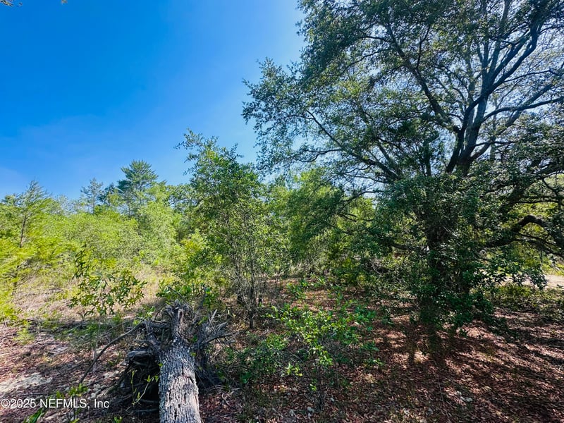 6007 Furman Ave, Keystone Heights, FL 32656