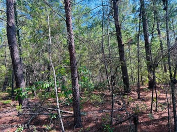 6044 Lehigh Cir, Keystone Heights, FL 32656