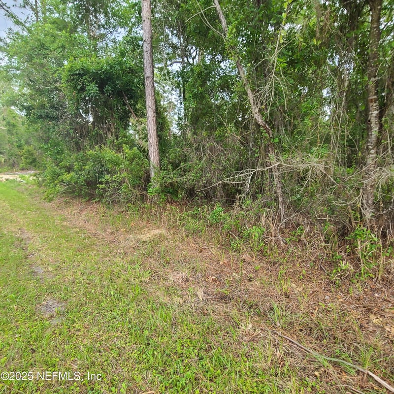 233 Paradise Blvd, Georgetown, FL 32139