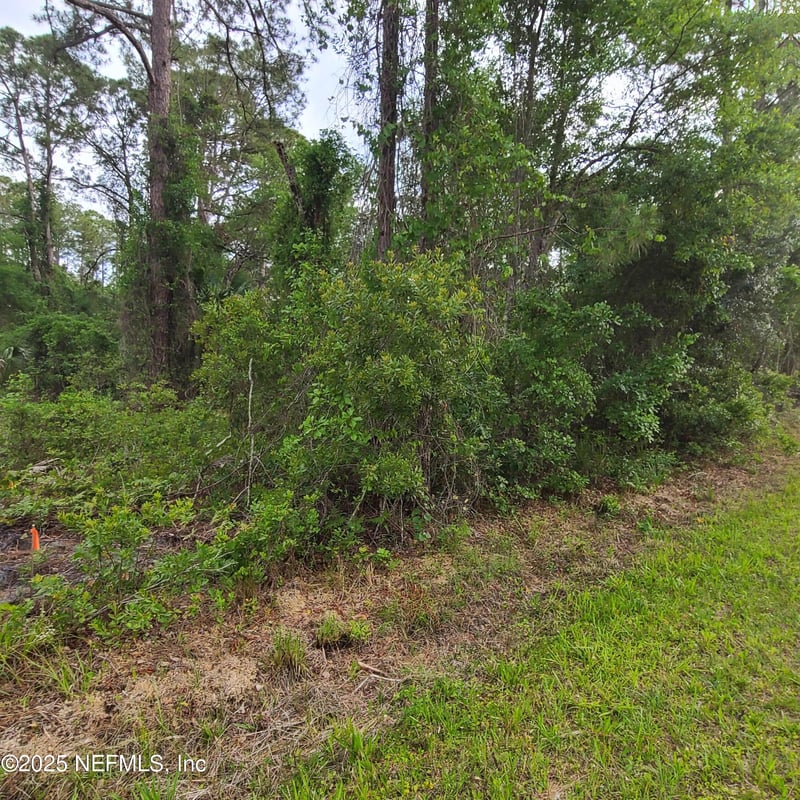 233 Paradise Blvd, Georgetown, FL 32139