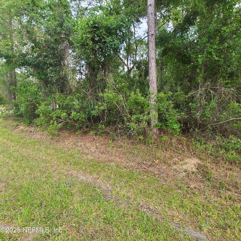 233 Paradise Blvd, Georgetown, FL 32139