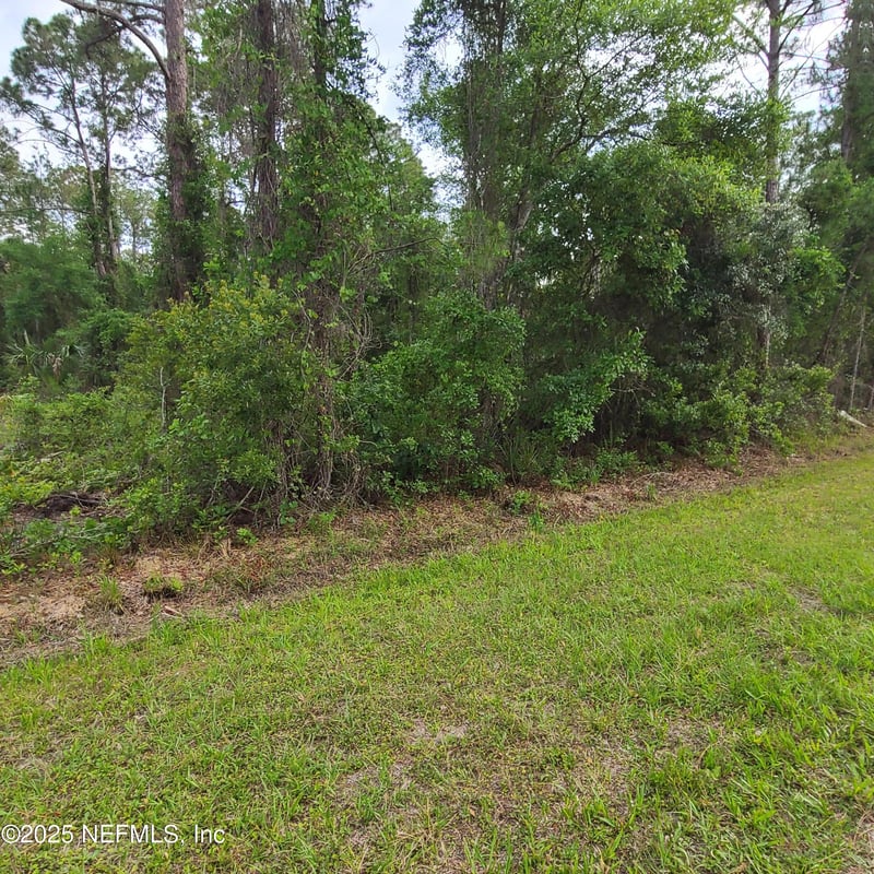 233 Paradise Blvd, Georgetown, FL 32139