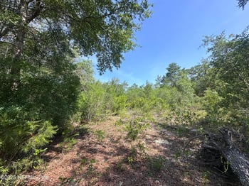 6013 Furman Ave, Keystone Heights, FL 32656