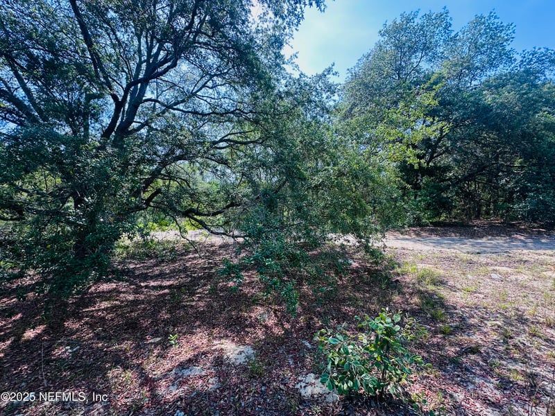 6007 Furman Ave, Keystone Heights, FL 32656