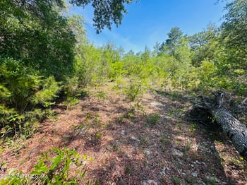 6007 Furman Ave, Keystone Heights, FL 32656