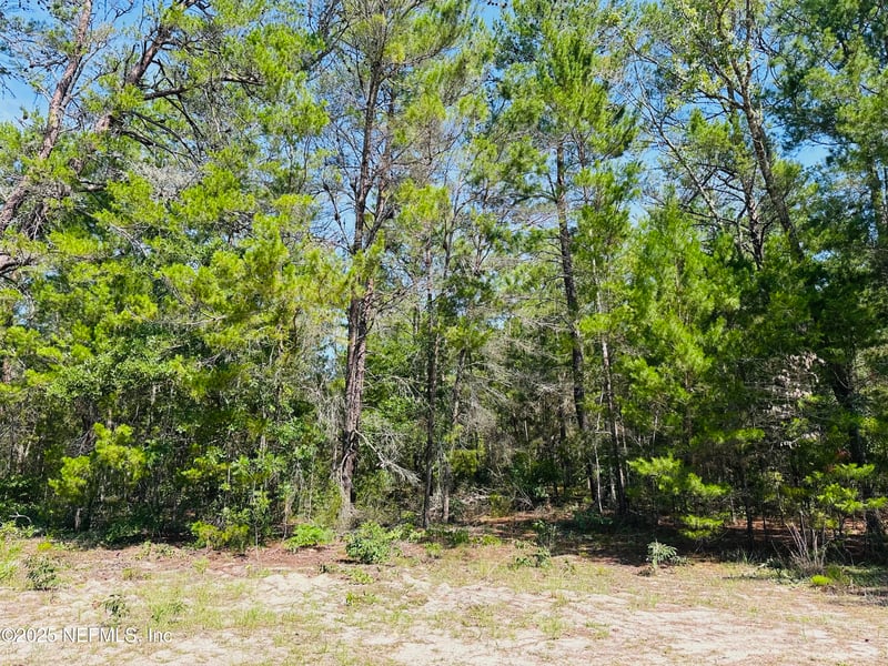 6044 Lehigh Cir, Keystone Heights, FL 32656