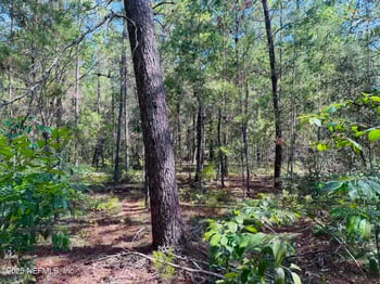 6044 Lehigh Cir, Keystone Heights, FL 32656