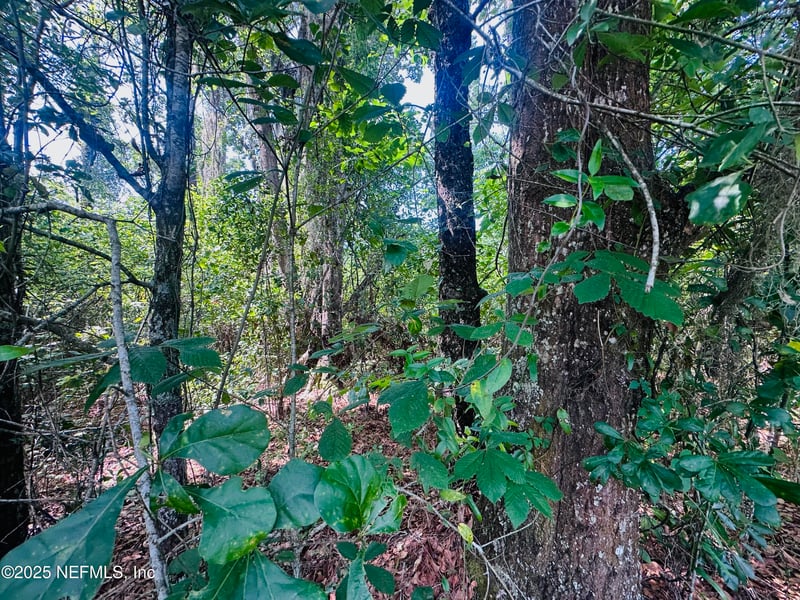 5789 County Road 218, Jacksonville, FL 32234