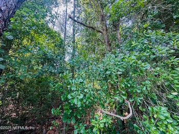 5789 County Road 218, Jacksonville, FL 32234