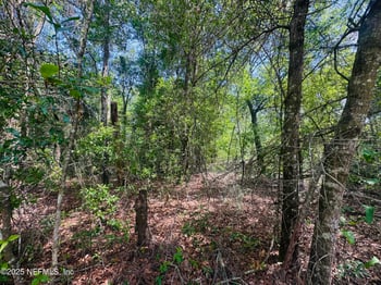 5423 Laredo St, Keystone Heights, FL 32656