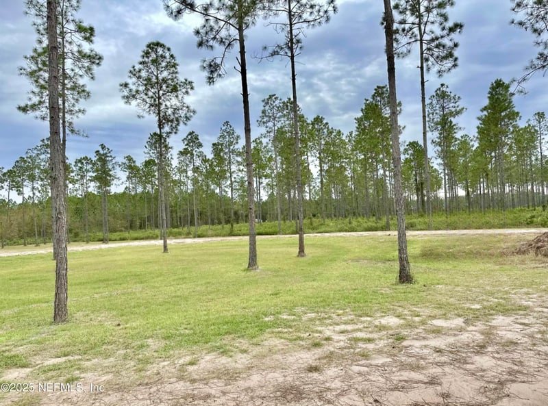 5503 Millie Way, Green Cove Springs, FL 32043