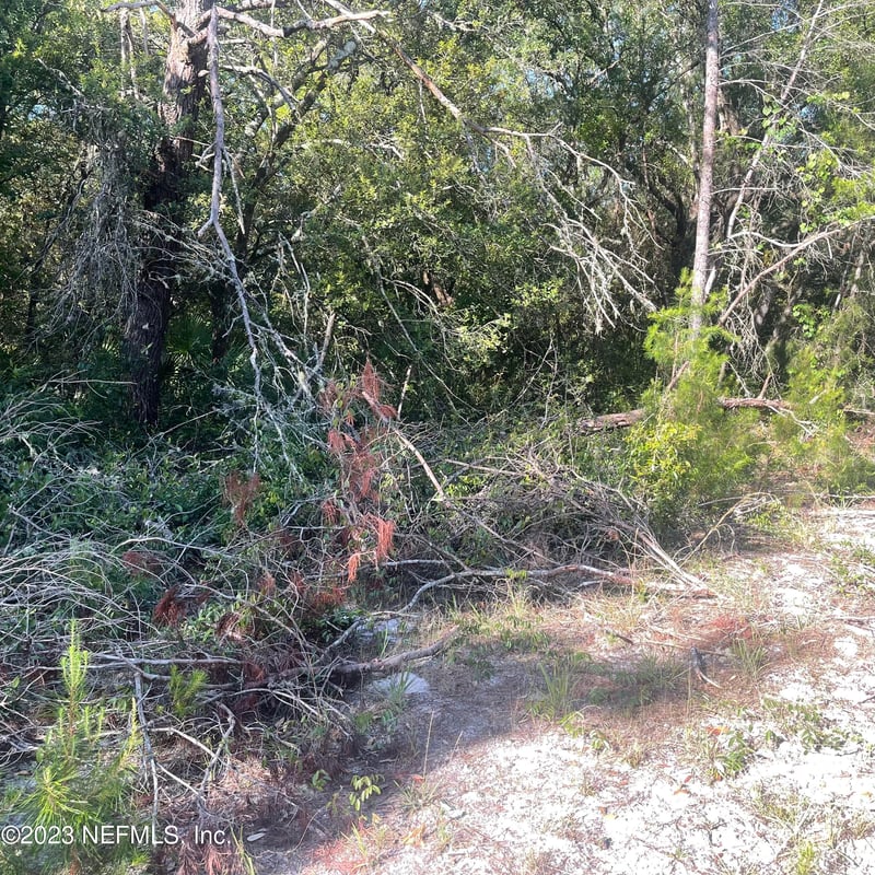 117 Waites Dr, Florahome, FL 32140