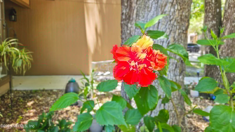 21 Mid Pines Cir, Palm Coast, FL 32137