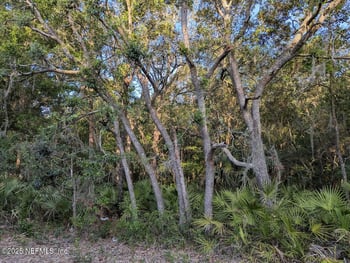 103 George Way, Interlachen, FL 32148