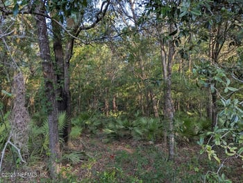 103 George Way, Interlachen, FL 32148