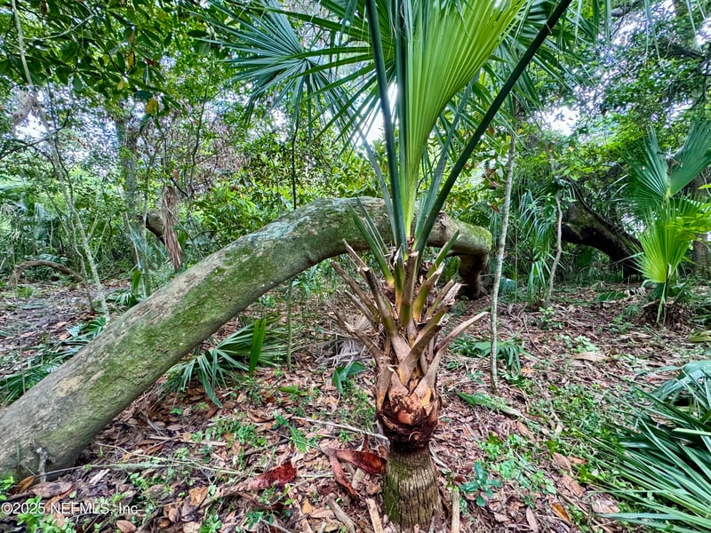 0 A1a Ponte Blvd, Ponte Vedra Beach, FL 32082