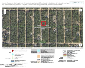 00 Usina Ave, Interlachen, FL 32148