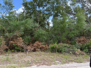 331 4th Way, Interlachen, FL 32148