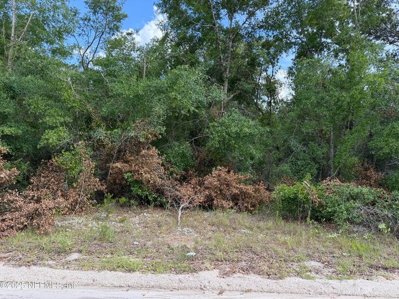 329 4th Way, Interlachen, FL 32148