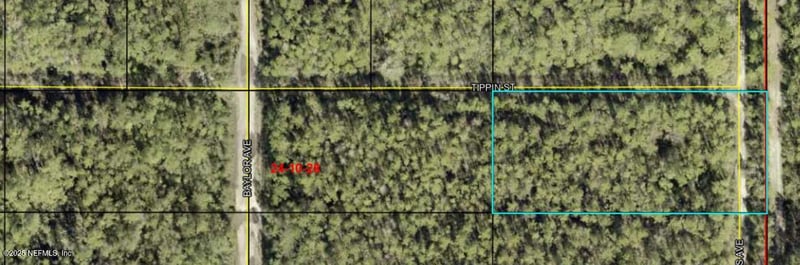 0 Amos Ave, Hastings, FL 32145