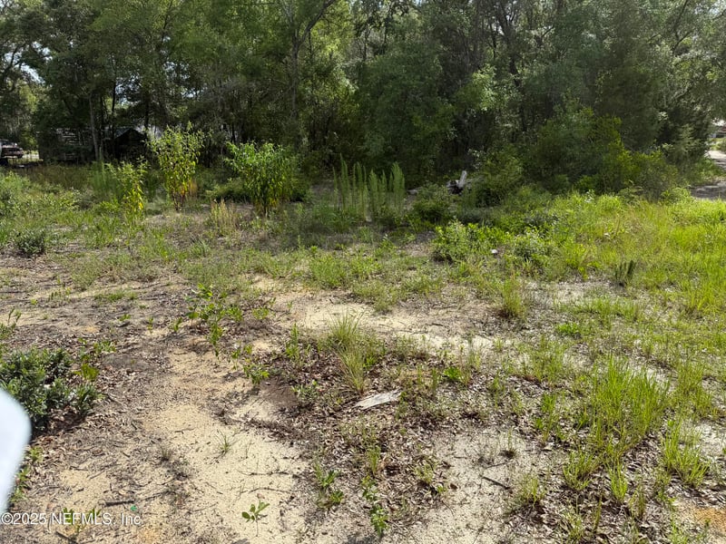 333 2nd Way, Interlachen, FL 32148