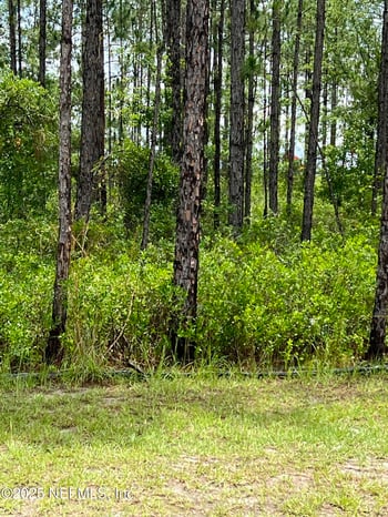 0 Canaveral Tc, Middleburg, FL 32068