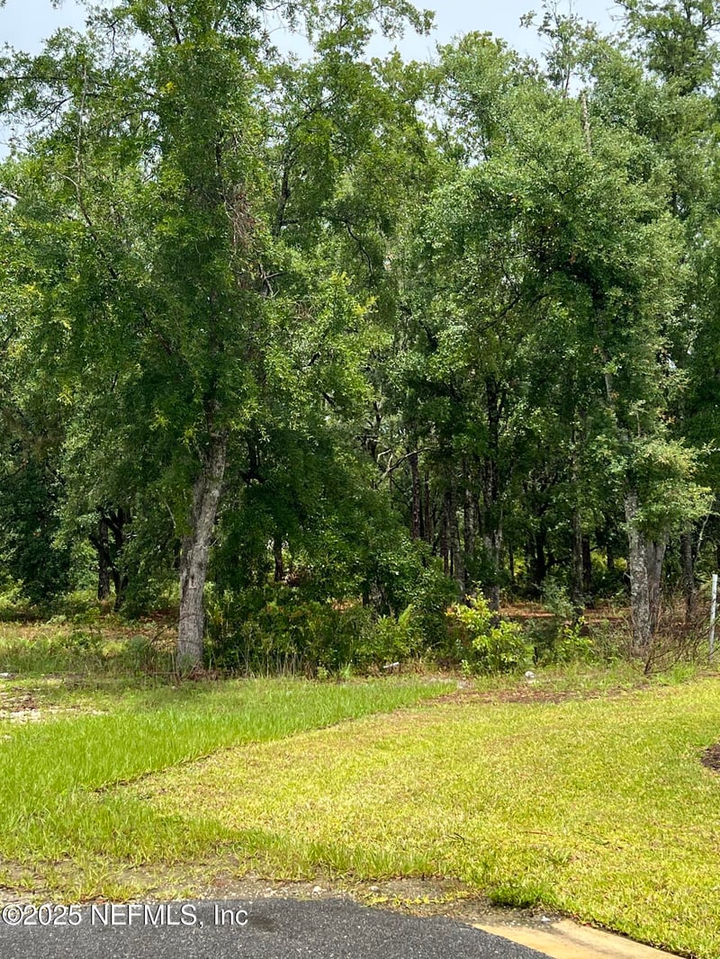 0 Royal Pines Dr, Middleburg, FL 32068