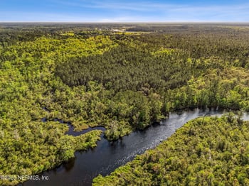 17263 Black Cow Trl, Jacksonville, FL 32218