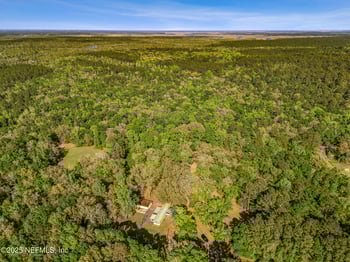 17263 Black Cow Trl, Jacksonville, FL 32218