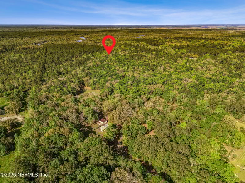 17263 Black Cow Trl, Jacksonville, FL 32218