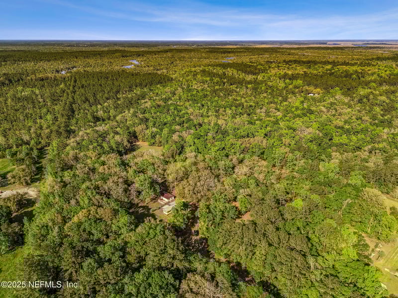 17263 Black Cow Trl, Jacksonville, FL 32218