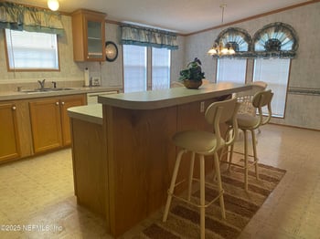 138 Pine Cone Dr, Georgetown, FL 32139