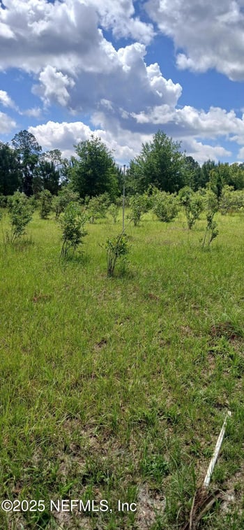 2995 Thunder Rd, Middleburg, FL 32068