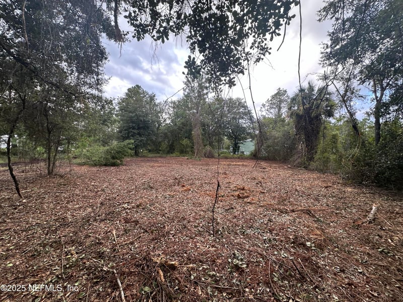 323 Carteret Rd, Georgetown, FL 32139